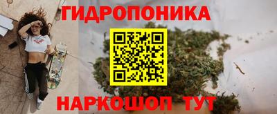 Альфа ПВП Чебоксары