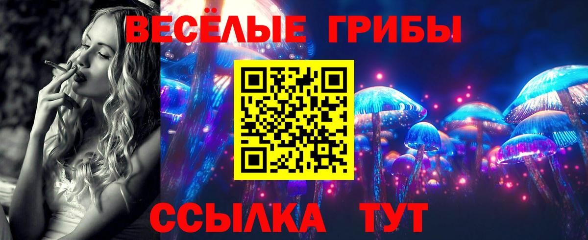 Галлюциногенные грибы GOLDEN TEACHER Ахтубинск