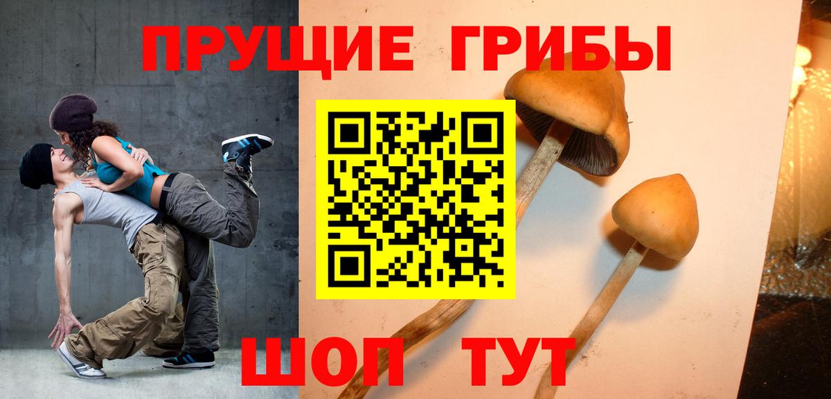 Ахтубинск  Галлюциногенные грибы Cubensis  Вход с VPN  Псилоцибиновые грибы Psilocybe 